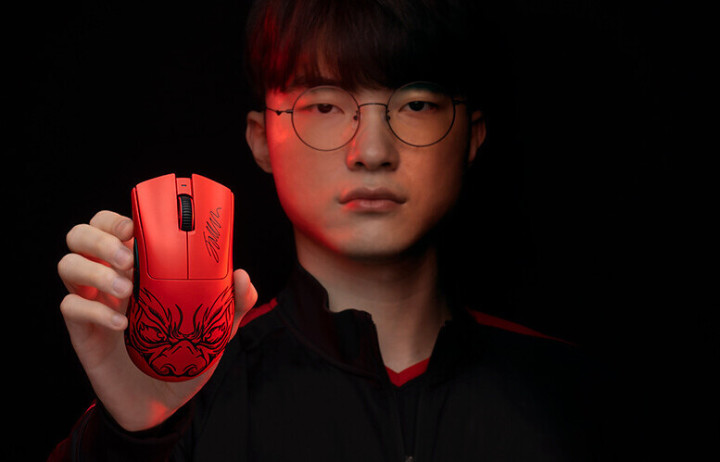 草皮质量多 草皮质量多