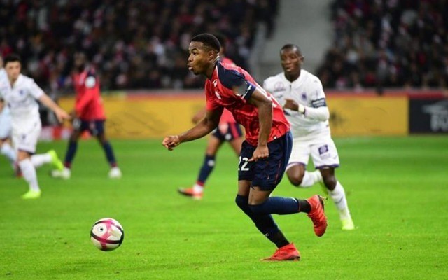 令人赞叹的 令人赞叹的