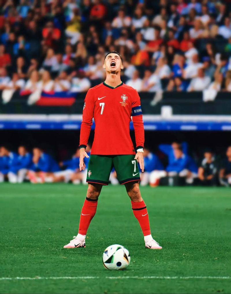 视海洋生态 视海洋生态