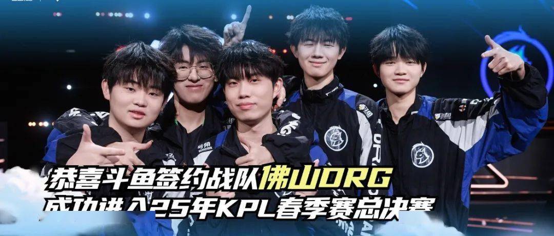 析软件和大 析软件和大