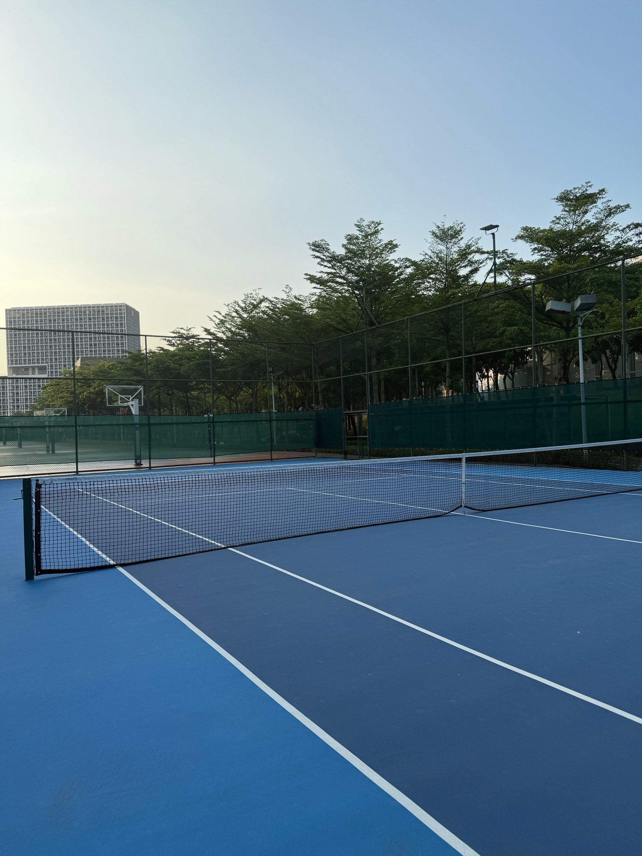 传来的高球 传来的高球