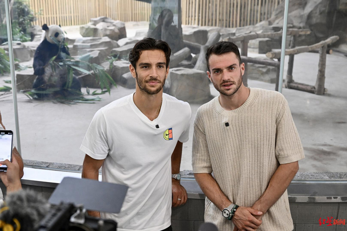 是一种优雅 是一种优雅